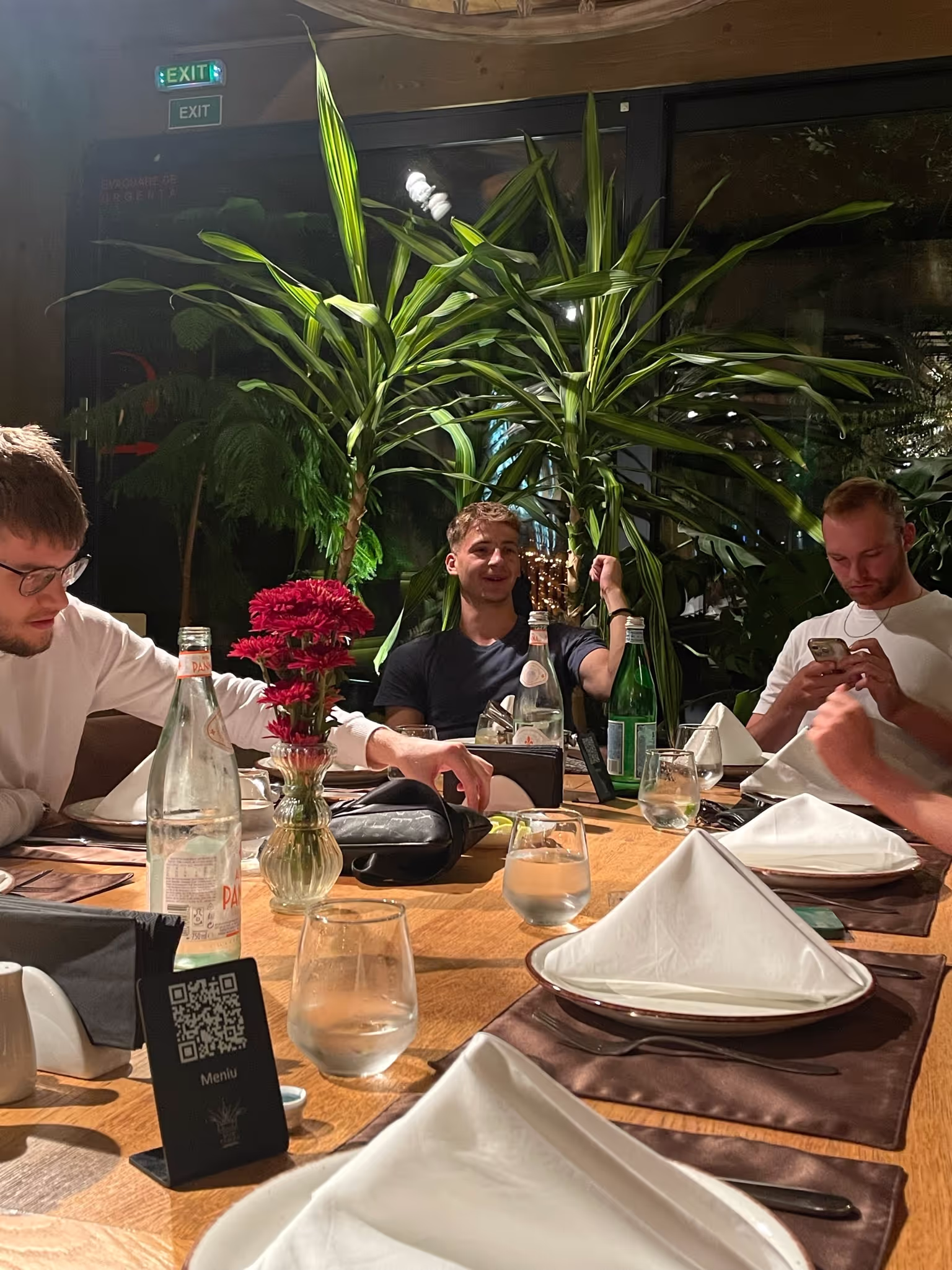 Helix founders debriefing over dinner in Bucharest