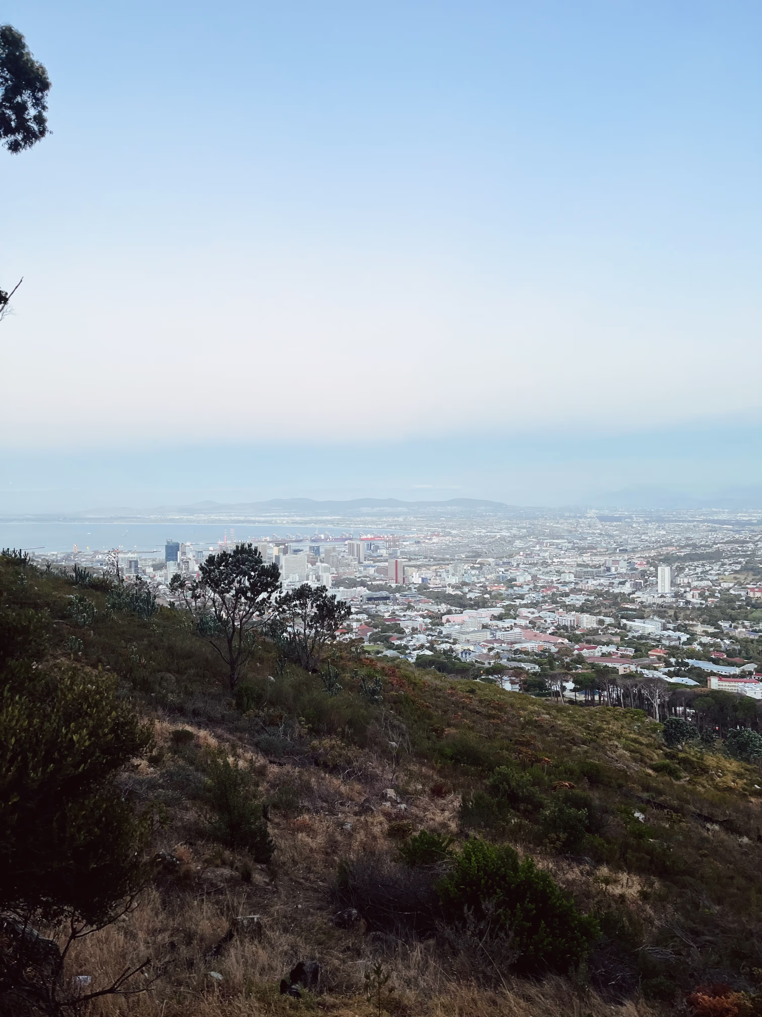 Helix founders in Cape Town — 2